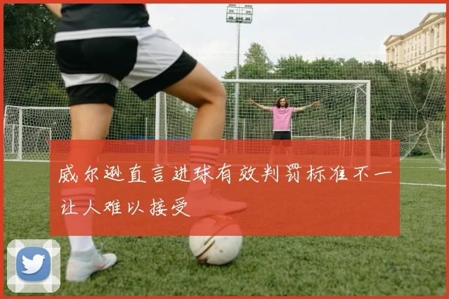 威尔逊直言进球有效判罚标准不一让人难以接受